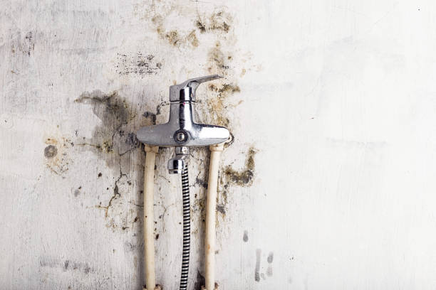Water Damage Restoration in Bridgeport, MI