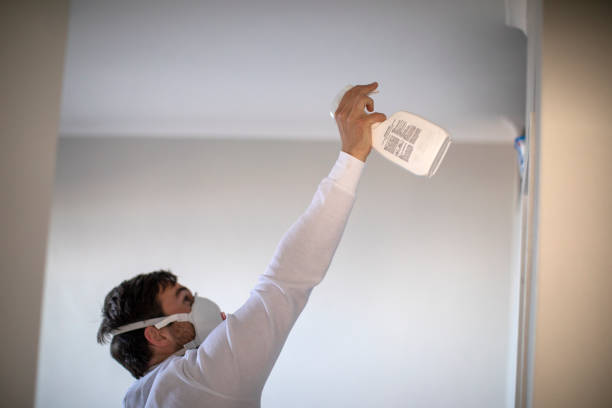 Best Home Mold Removal  in Bridgeport, MI